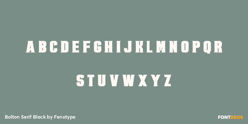 Bolton Serif Black Font Poster #1