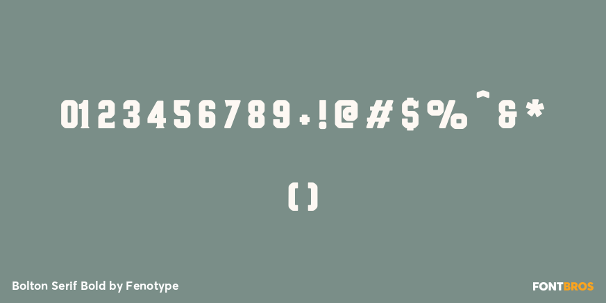 Bolton Serif Bold Font Poster #1