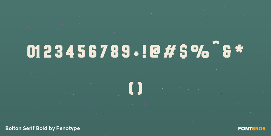 Bolton Serif Bold Font Poster #4