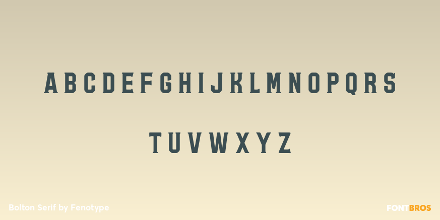 Bolton Serif Font Poster #3