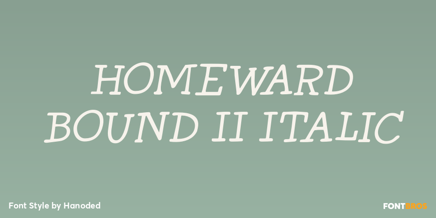 Homeward Bound II Italic Poster