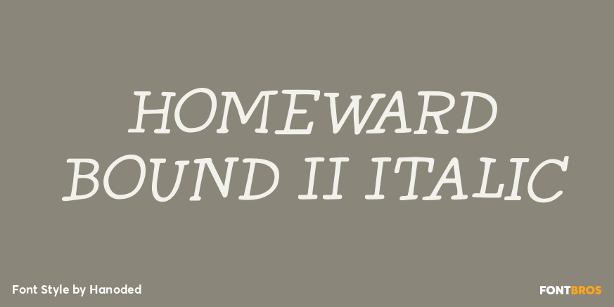 Homeward Bound II Italic Poster