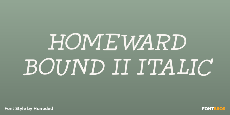 Homeward Bound II Italic Poster