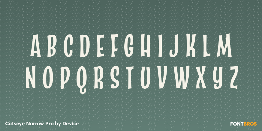 Catseye Narrow Pro Font Poster #1