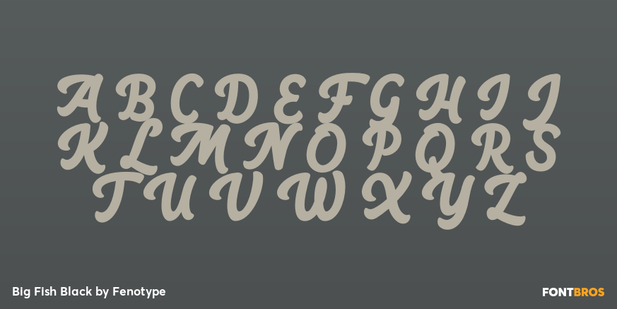 Big Fish Black Font Poster #2