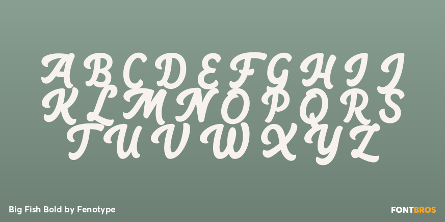 Big Fish Bold Font Poster #2