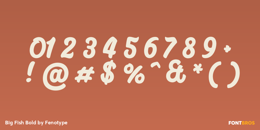 Big Fish Bold Font Poster #4