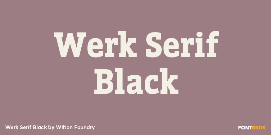 Werk Serif Black Font Poster #1