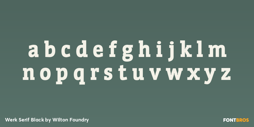 Werk Serif Black Font Poster #3