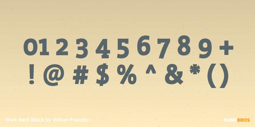 Werk Serif Black Font Poster #4