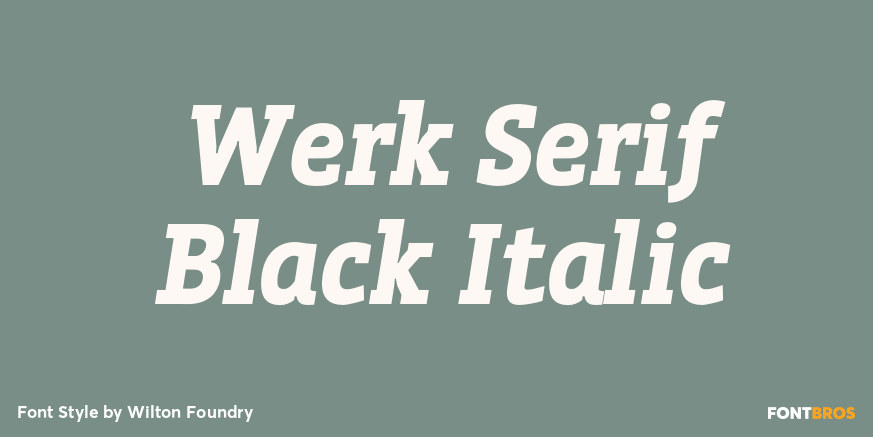 Werk Serif Black Italic Font Poster #1
