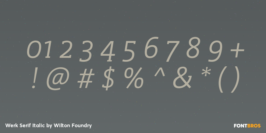 Werk Serif Italic Font Poster #4