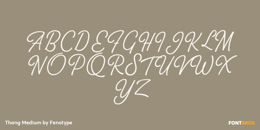 Thang Medium Font Poster #1