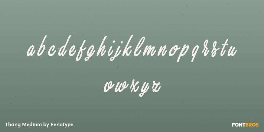 Thang Medium Font Poster #1