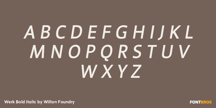 Werk Bold Italic Font Poster #2