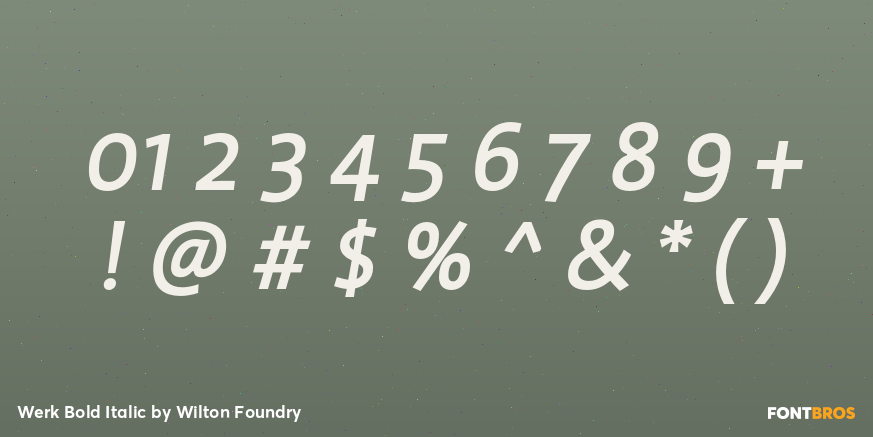 Werk Bold Italic Font Poster #4