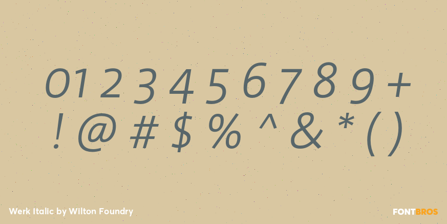Werk Italic Font Poster #1