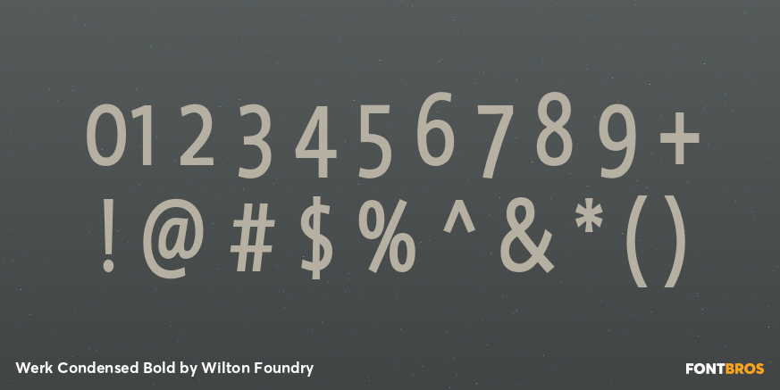 Werk Condensed Bold Font Poster #1