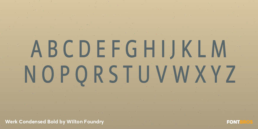 Werk Condensed Bold Font Poster #1