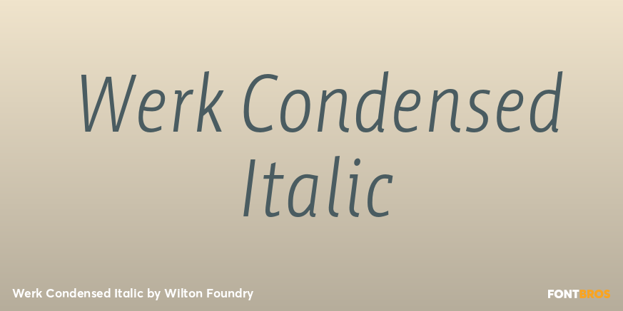 Werk Condensed Italic Font Poster #1