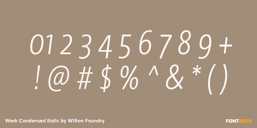 Werk Condensed Italic Font Poster #4