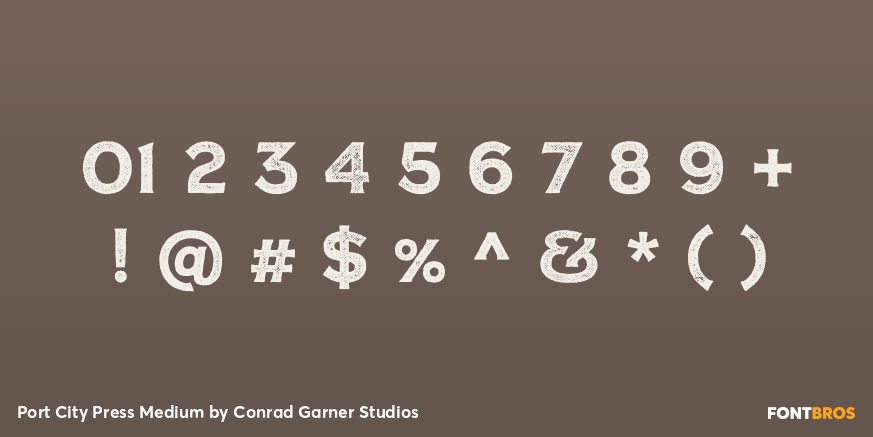 Port City Press Medium Font Poster #4