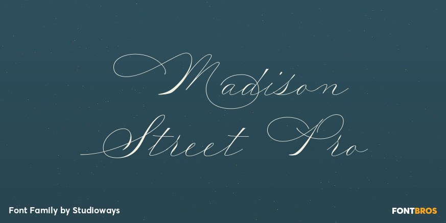 Madison Street Pro Poster
