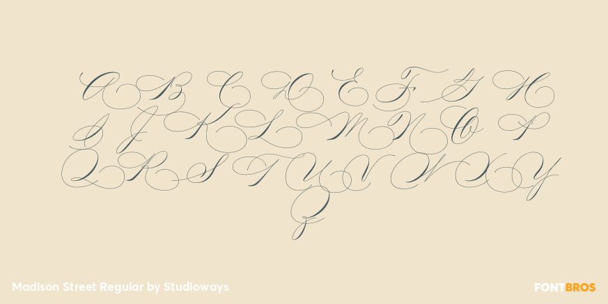Madison Street Regular Font Poster #2