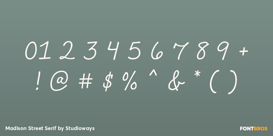 Madison Street Serif Font Poster #4