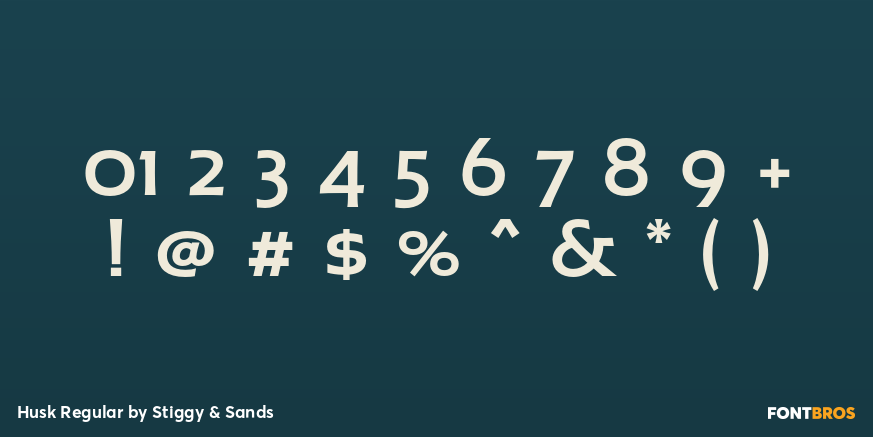 Husk Regular Font Poster #4