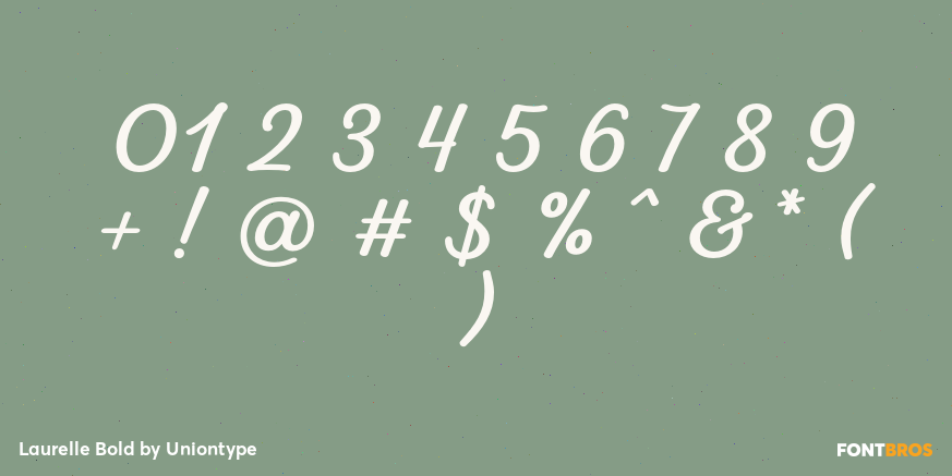 Laurelle Bold Font Poster #1