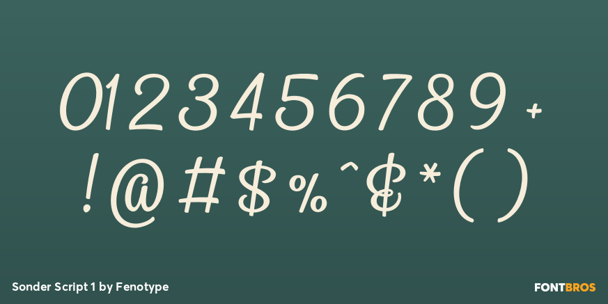Sonder Script 1 Font Poster #1