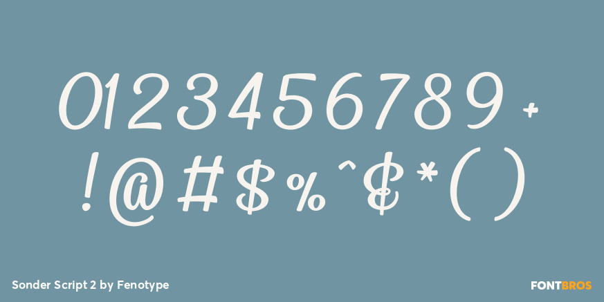 Sonder Script 2 Font Poster #4