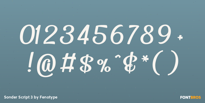 Sonder Script 3 Font Poster #4