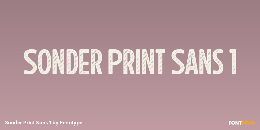 Sonder Print Sans 1 Font Poster #1