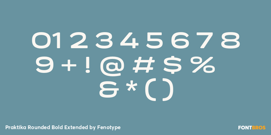 Praktika Rounded Bold Extended Font Poster #1