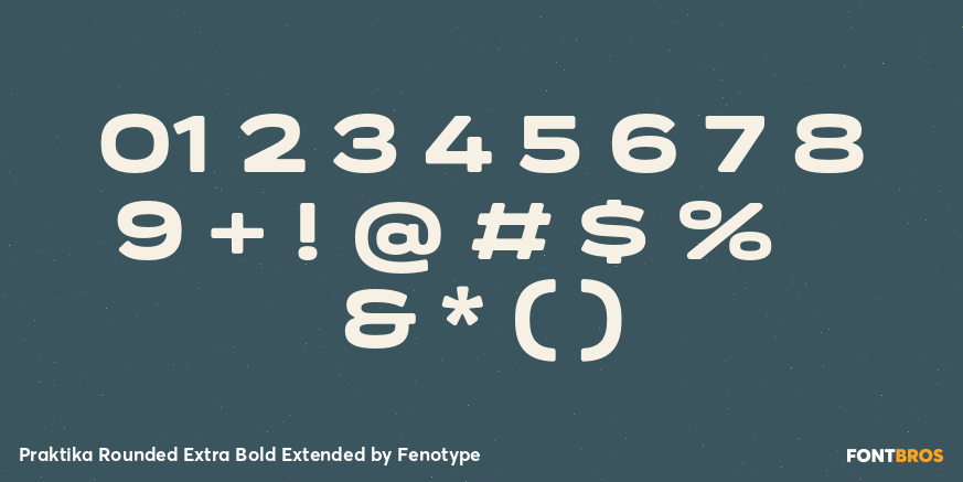 Praktika Rounded Extra Bold Extended Font Poster #4