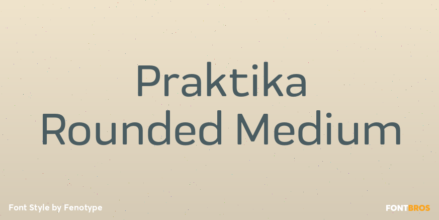 Praktika Rounded Medium Font Poster #1