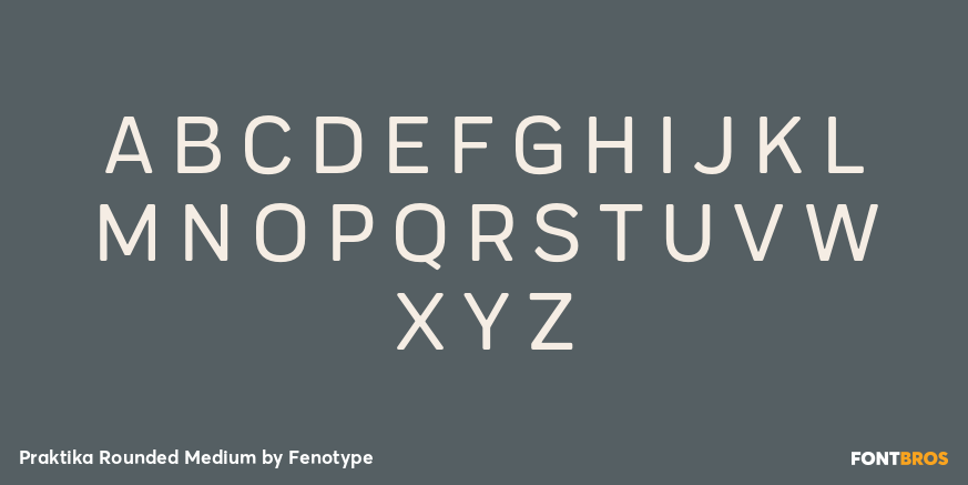 Praktika Rounded Medium Font Poster #1