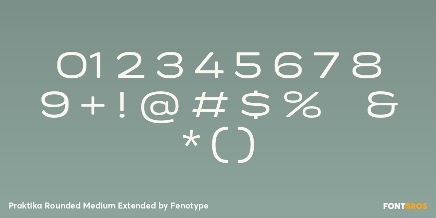 Praktika Rounded Medium Extended Font Poster #1