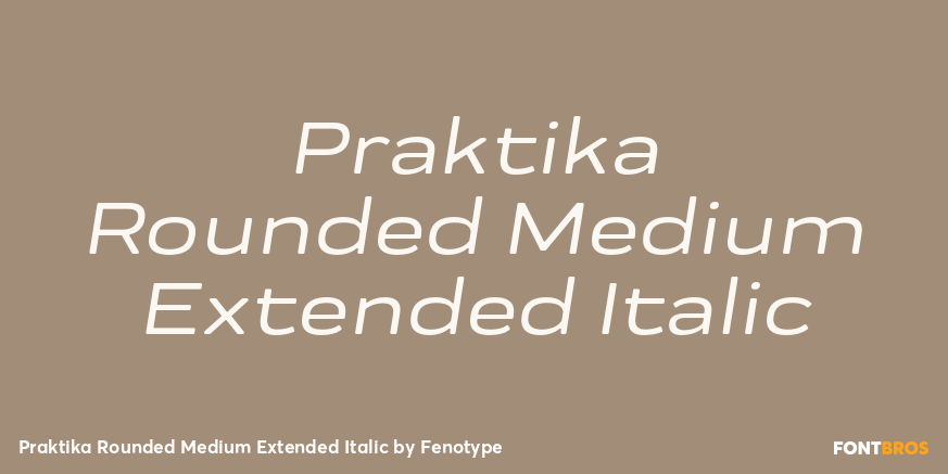 Praktika Rounded Medium Extended Italic Font Poster #1