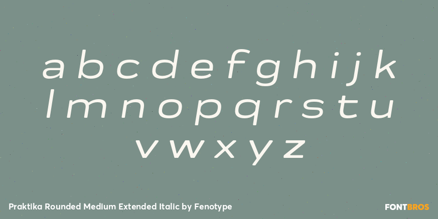 Praktika Rounded Medium Extended Italic Font Poster #3