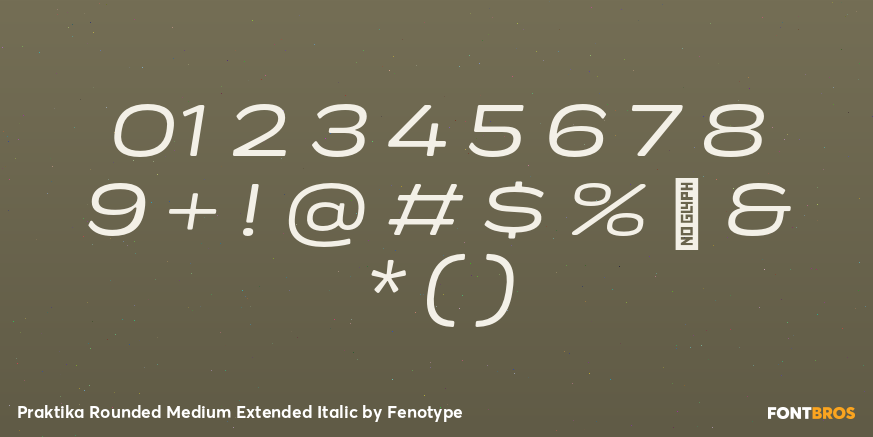 Praktika Rounded Medium Extended Italic Font Poster #4