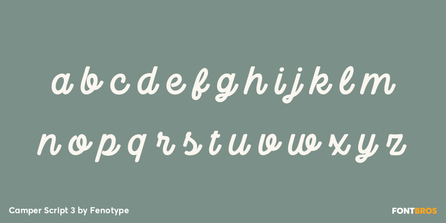 Camper Script 3 Font Poster #3
