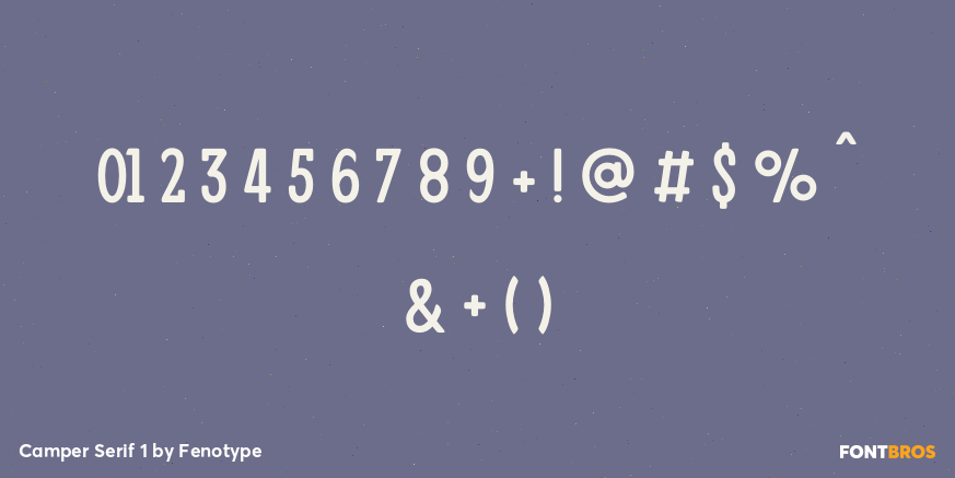 Camper Serif 1 Font Poster #4