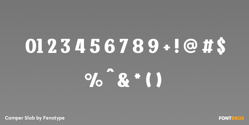Camper Slab Font Poster #4