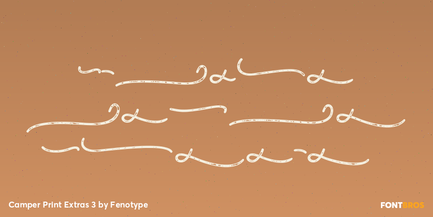 Camper Print Extras 3 Poster