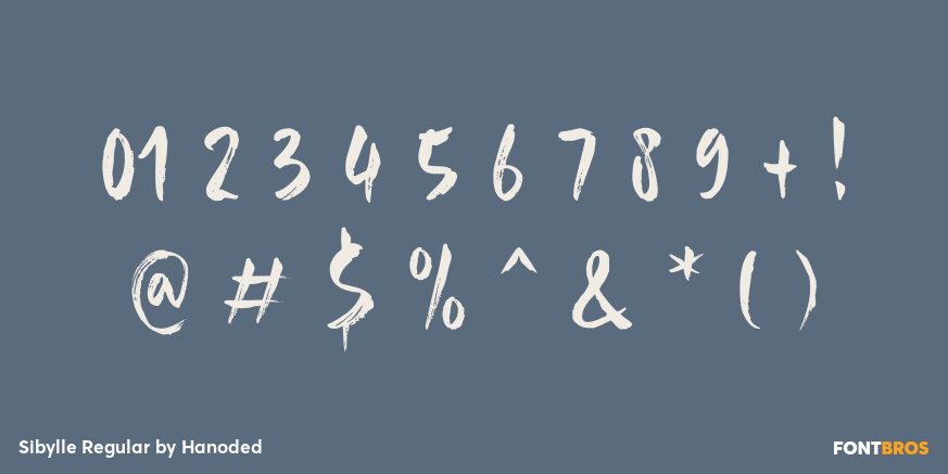 Sibylle Regular Font Poster #4