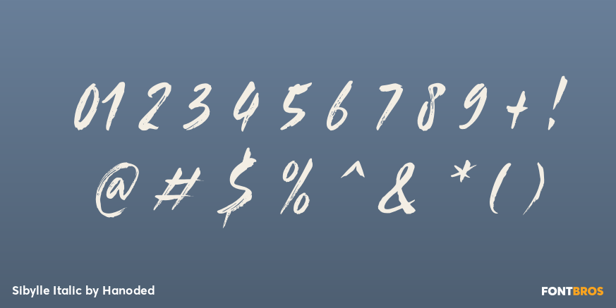 Sibylle Italic Font Poster #4