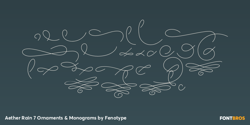 Aether Rain 7 Ornaments & Monograms Font Poster #3